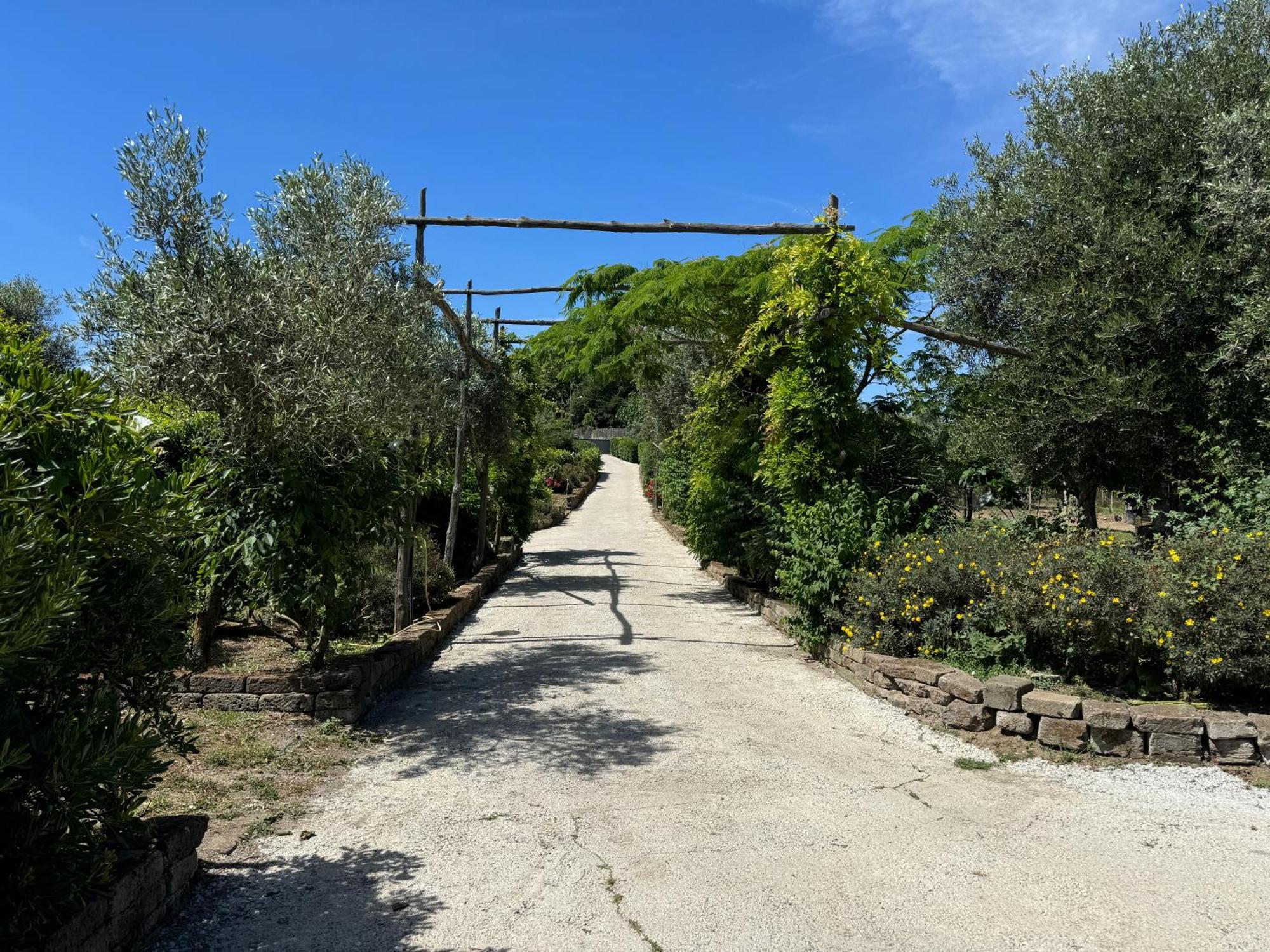 Agriturismo Piccolo Paradiso Piano di Sorrento Exterior foto
