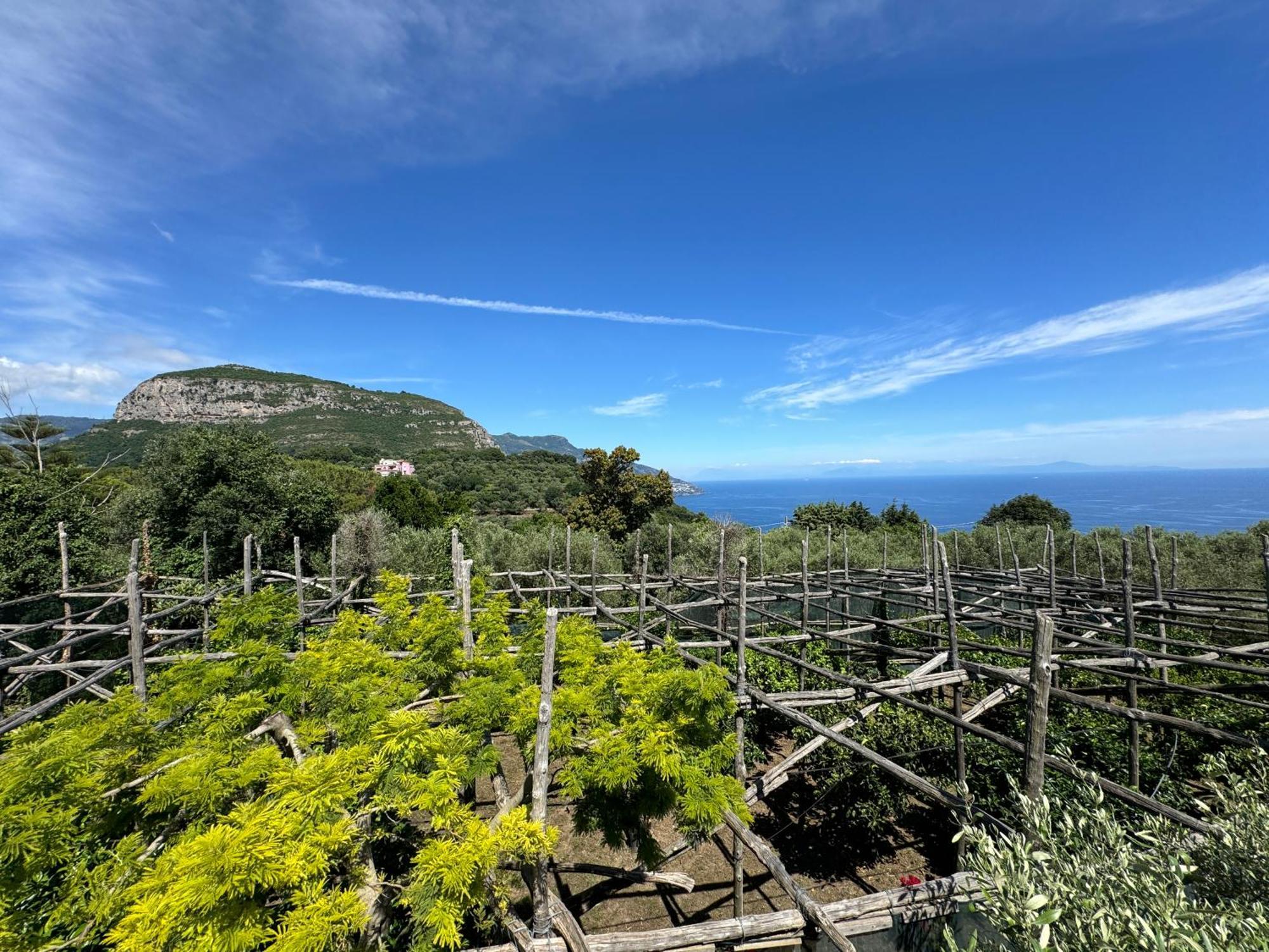 Agriturismo Piccolo Paradiso Piano di Sorrento Exterior foto