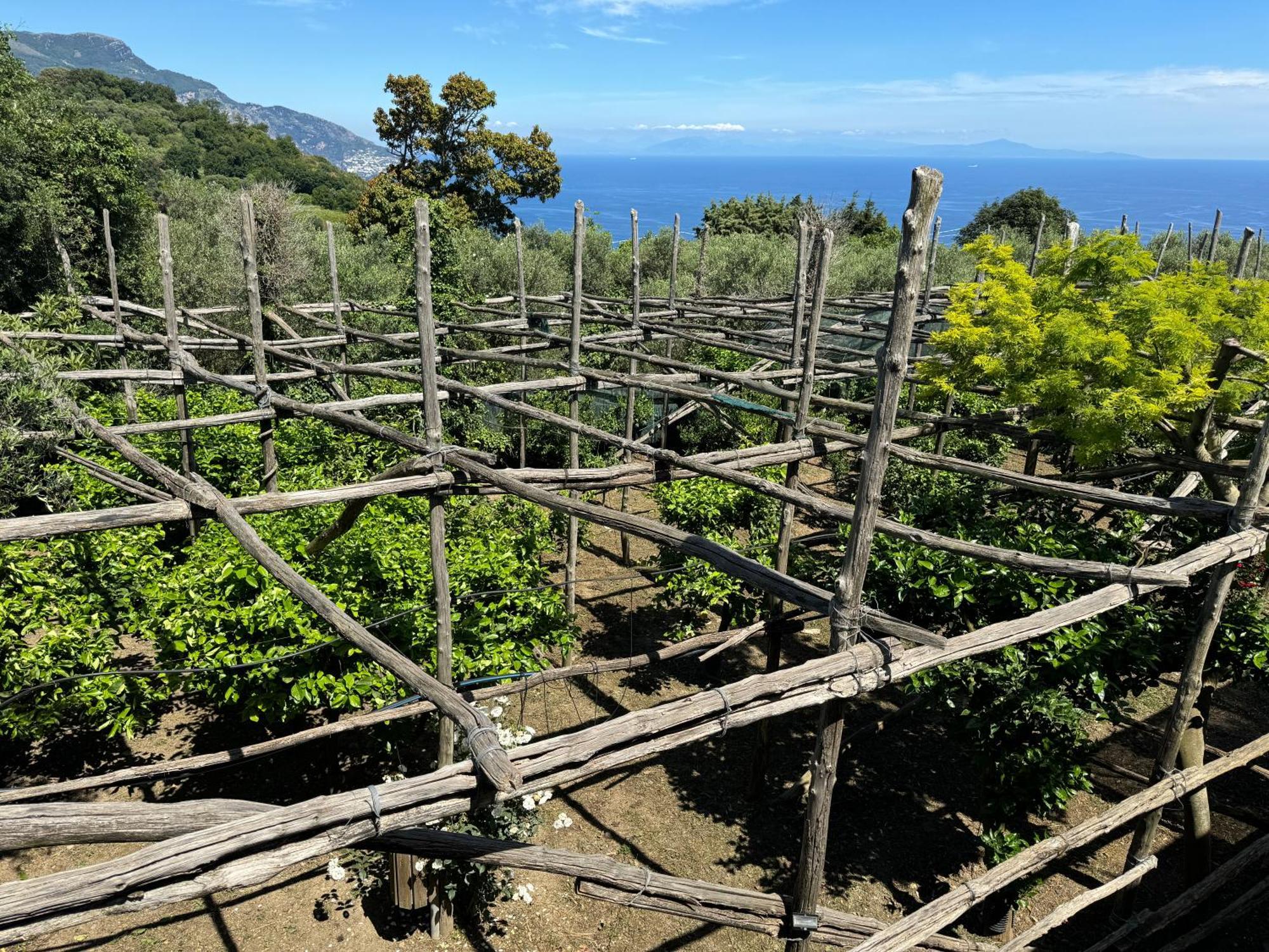 Agriturismo Piccolo Paradiso Piano di Sorrento Exterior foto