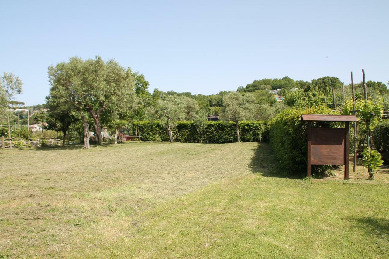 Agriturismo Piccolo Paradiso Piano di Sorrento Exterior foto